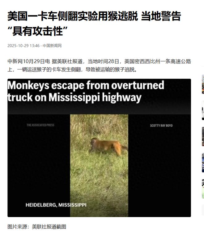 美国实验猴又跑了当地警告“具有攻击性”或携带新冠病毒！